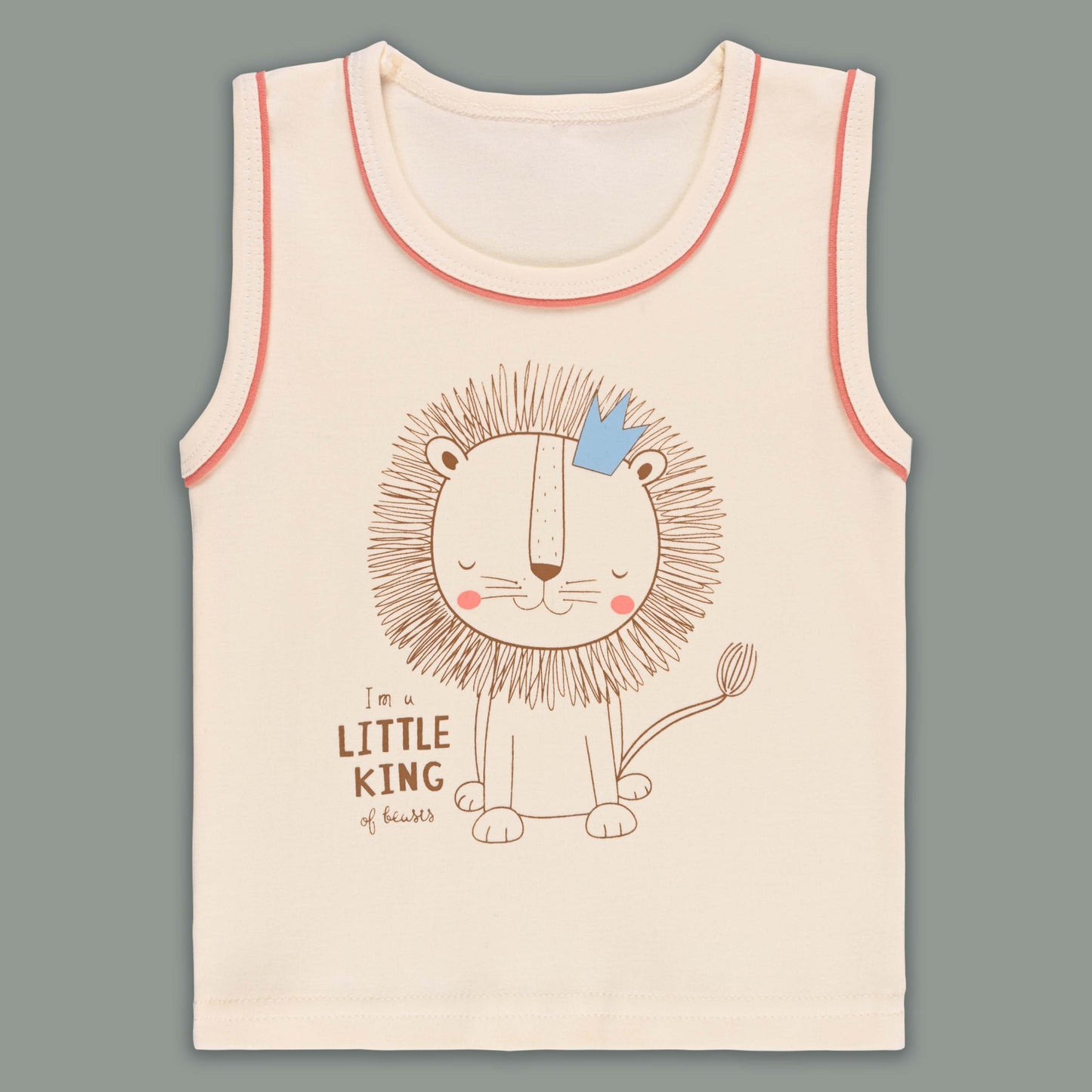 Boys Printed Cotton Tshirt and Shorts Set