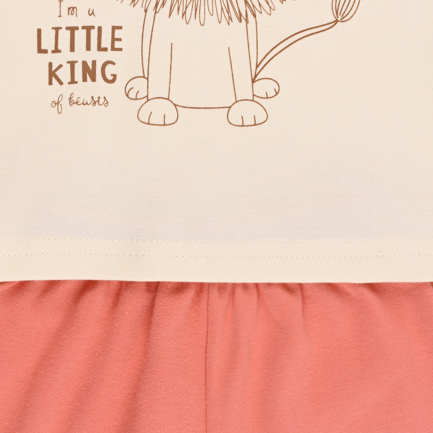 Boys Printed Cotton Tshirt and Shorts Set