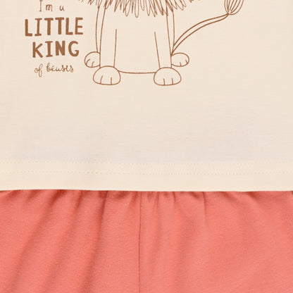 Boys Printed Cotton Tshirt and Shorts Set