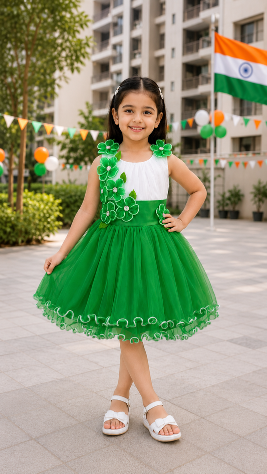 Girls Knee Length A-Line Frock Dress