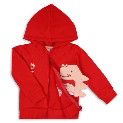 Unisex Cotton Applique Full Sleeve Hooded Sweatshirt-T304rd