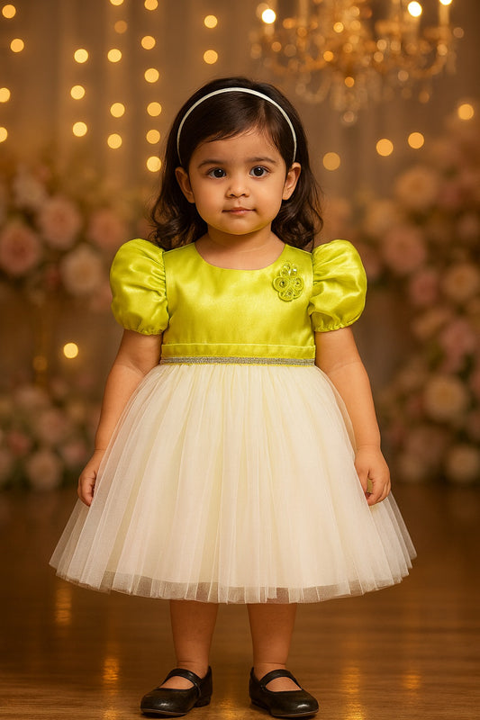 Girls Floral Embellished Net Flared Premium Party Dress