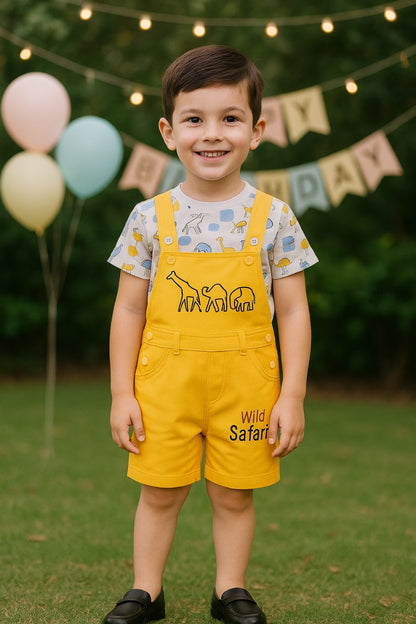 Boys T-shirt and Dungaree