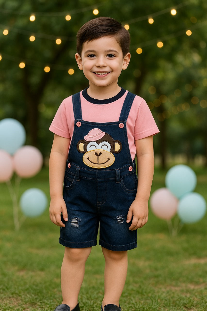 Baby Boys Applique T-Shirt and Shorts Dungaree Set