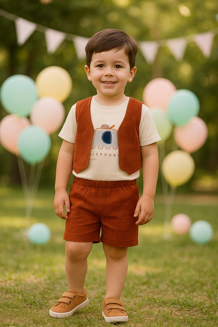 Wish Karo Baby Boys Clothing Set-(bt96)