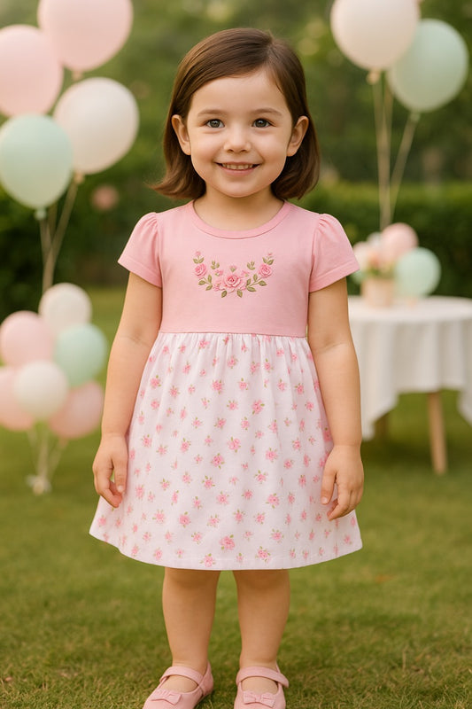 Baby Girls Floral Print A-Line Frock Dress With Brief