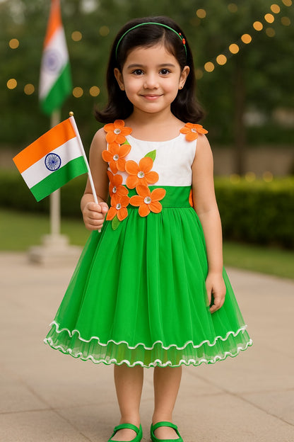 Girls Floral Applique Tricolor Independence Day Special Dress