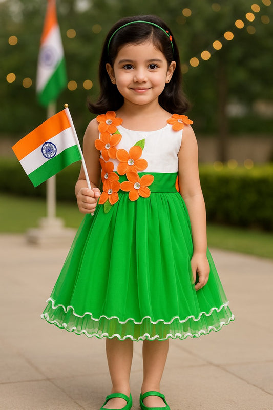 Girls Floral Applique Tricolor Independence Day Special Dress