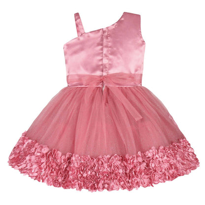 Girls Satin Flower Detailing Net Dress