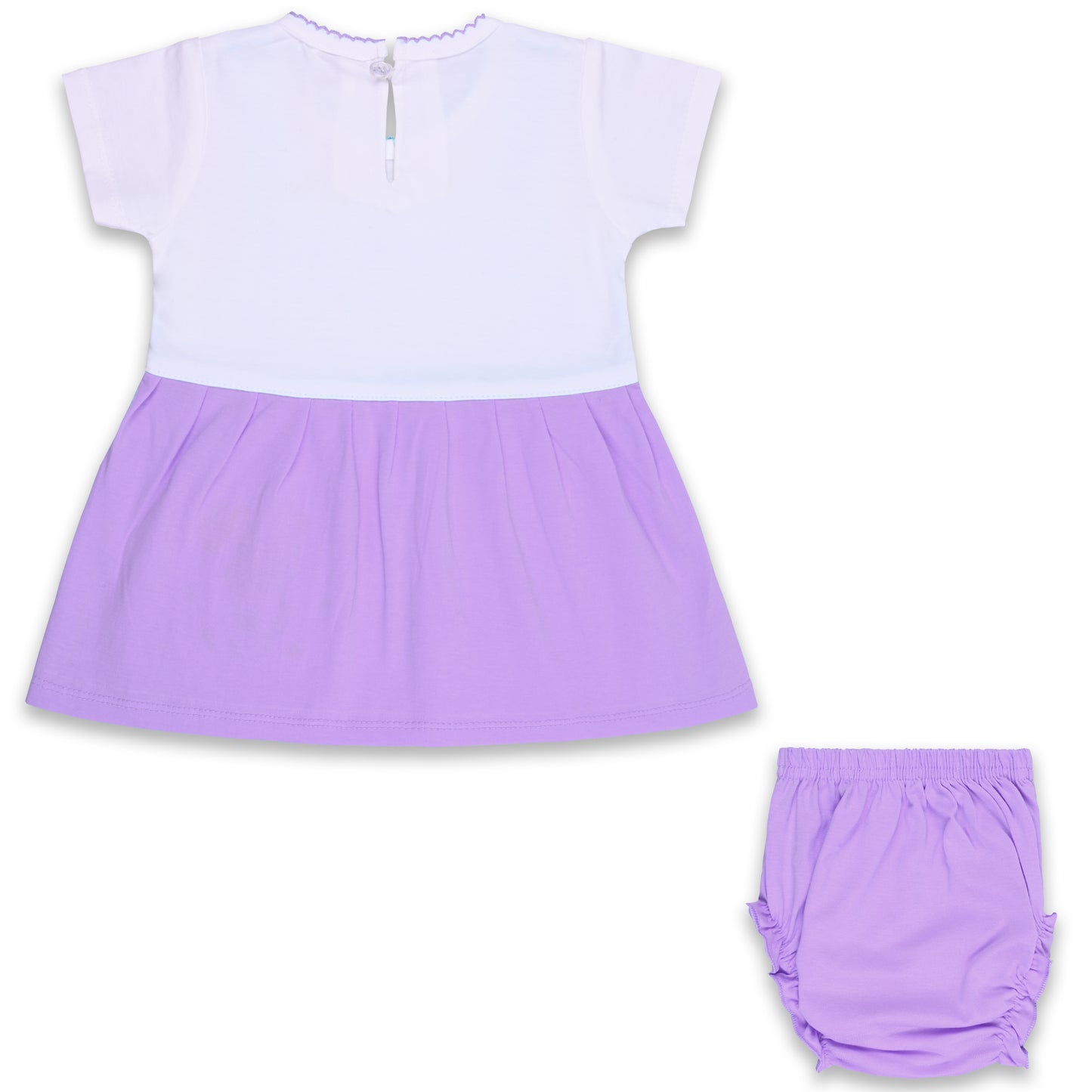 Baby Girls Applique A-Line Frock Dress With Brief