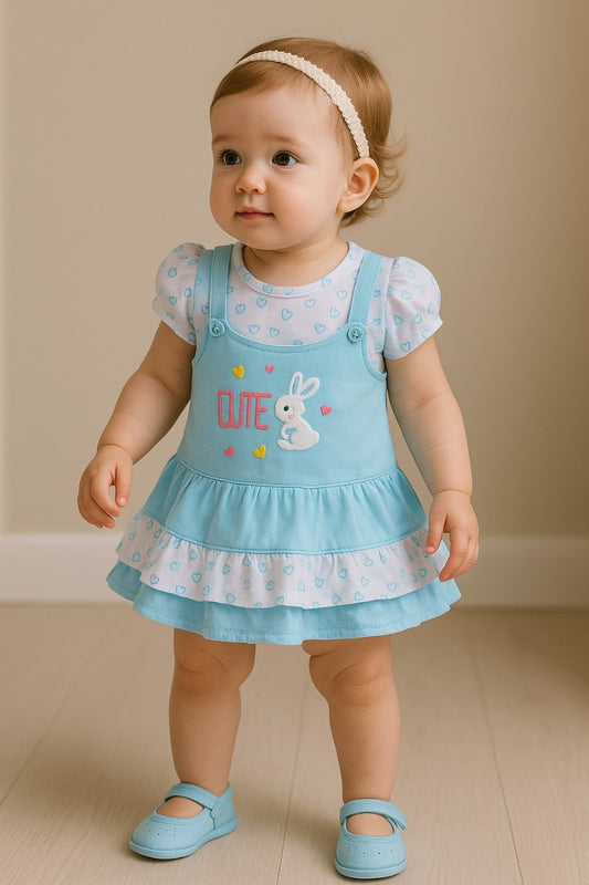 Baby Girls Printed A-Line Frock Dress with Brief - Blue