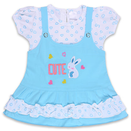 Baby Girls Printed A-Line Frock Dress With Brief