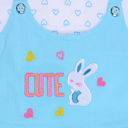 Baby Girls Printed A-Line Frock Dress With Brief