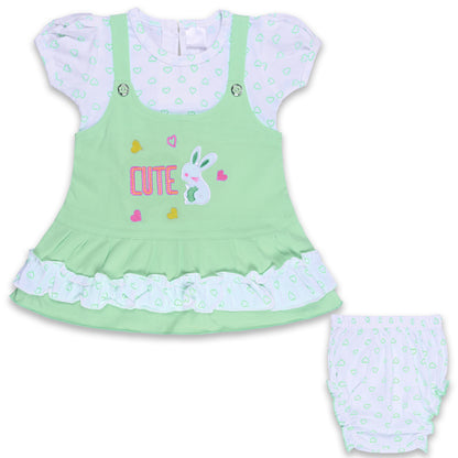 Baby Girls Printed A-Line Frock Dress With Brief