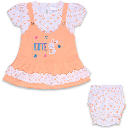 Baby Girls Printed A-Line Frock Dress With Brief