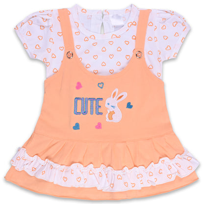 Baby Girls Printed A-Line Frock Dress With Brief