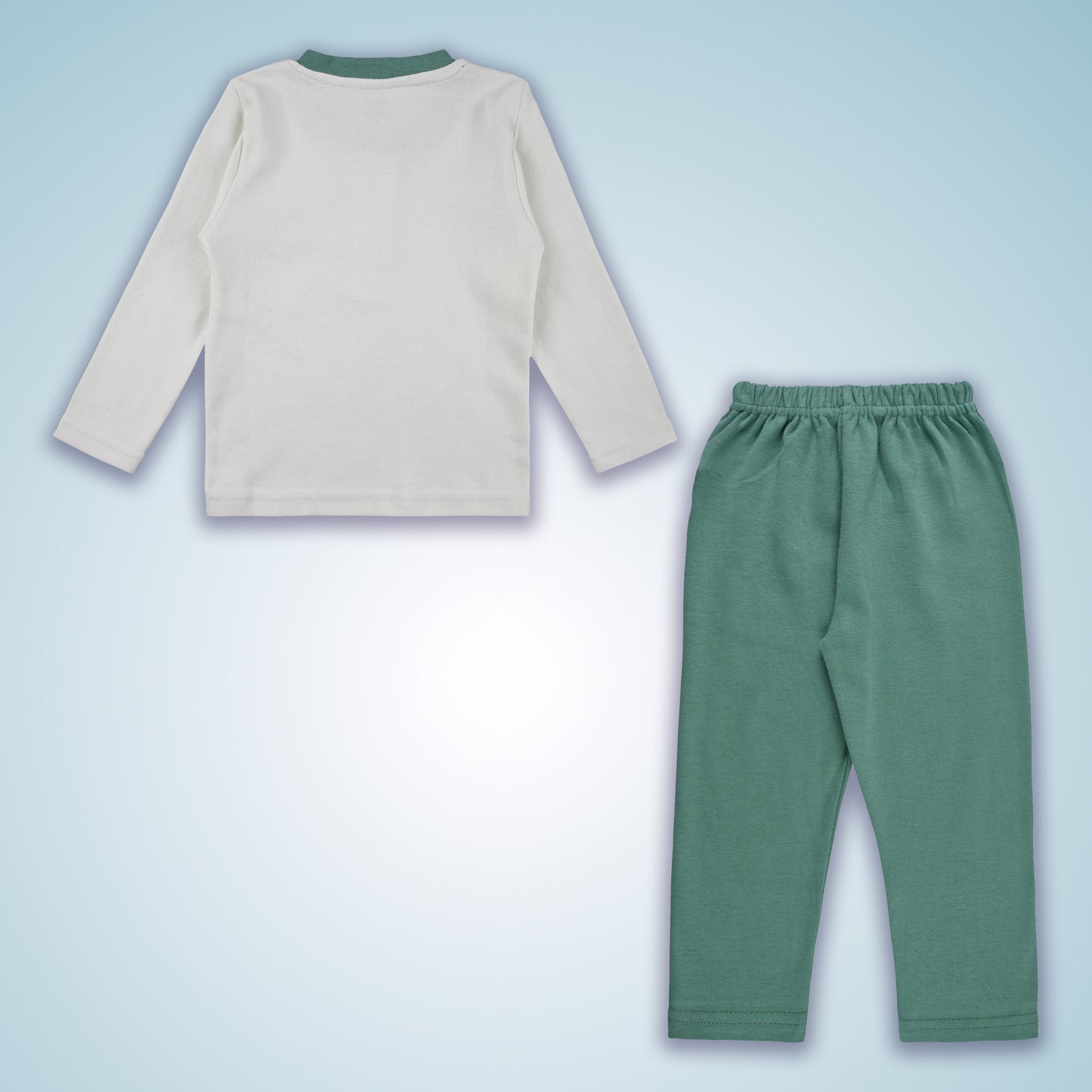 Boys Printed T-Shirt and Track Pant Clothing Set