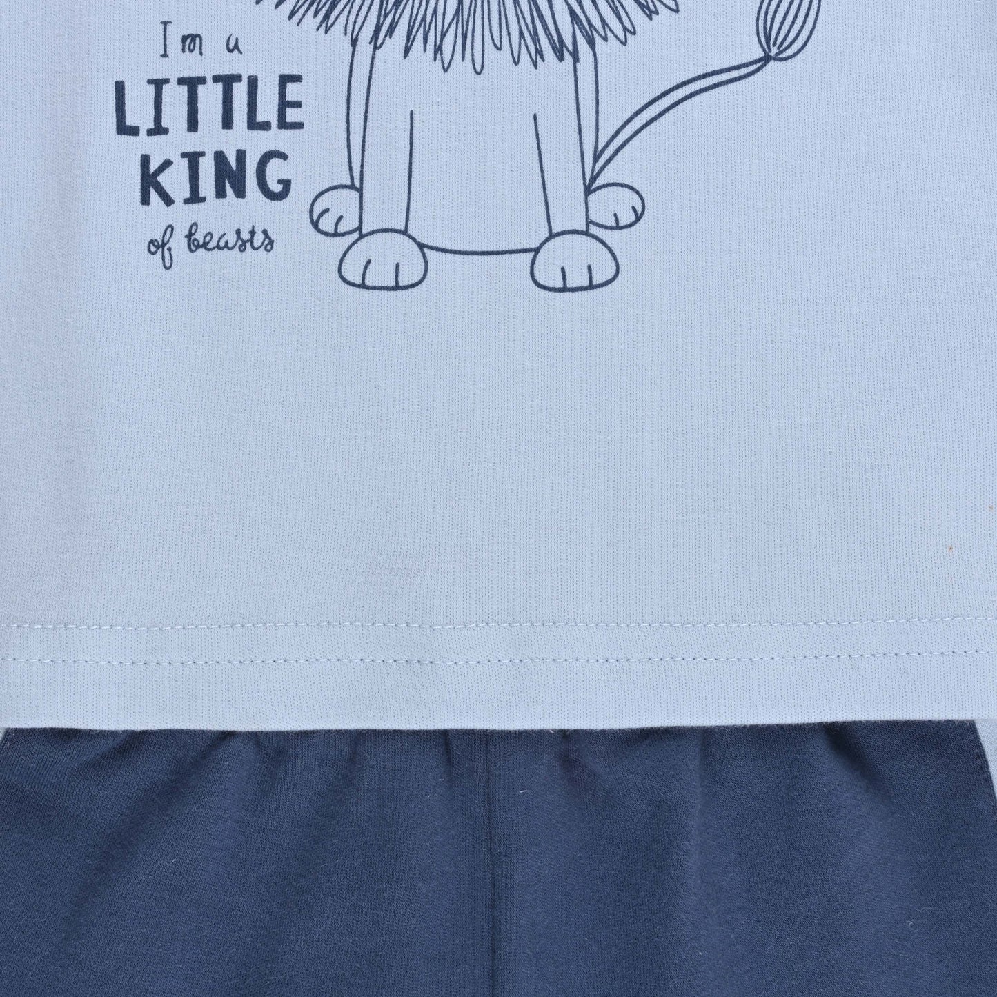 Boys Printed Cotton Tshirt and Shorts Set