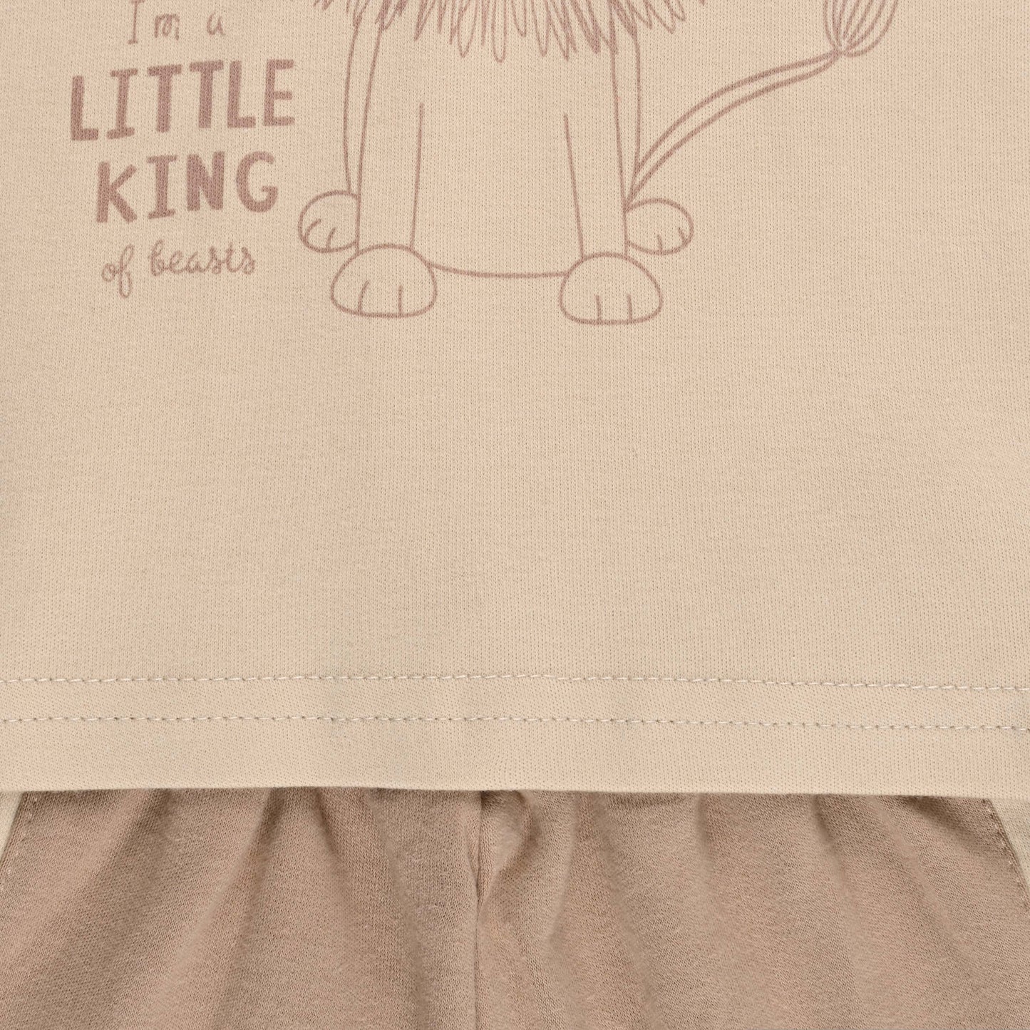 Boys Printed Cotton Tshirt and Shorts Set