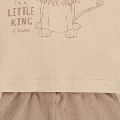 Boys Printed Cotton Tshirt and Shorts Set
