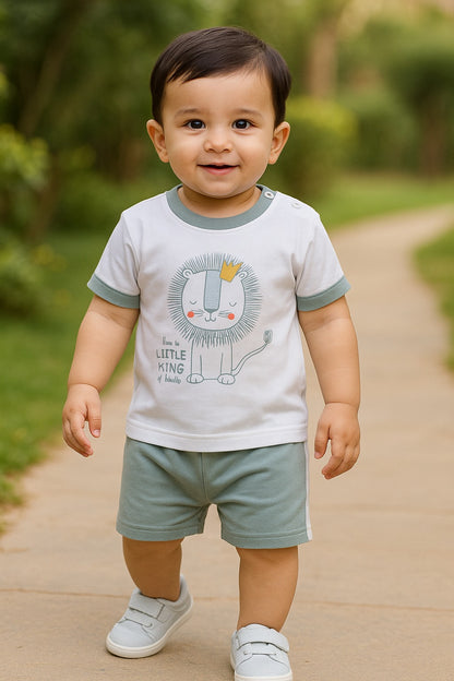 Boys Printed Cotton Tshirt and Shorts Set