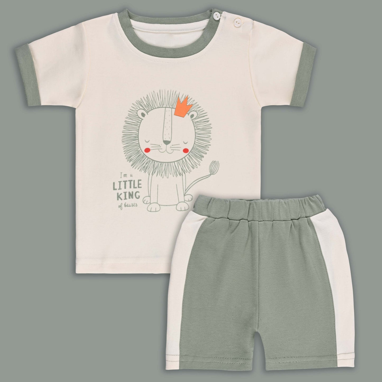 Boys Printed Cotton Tshirt and Shorts Set