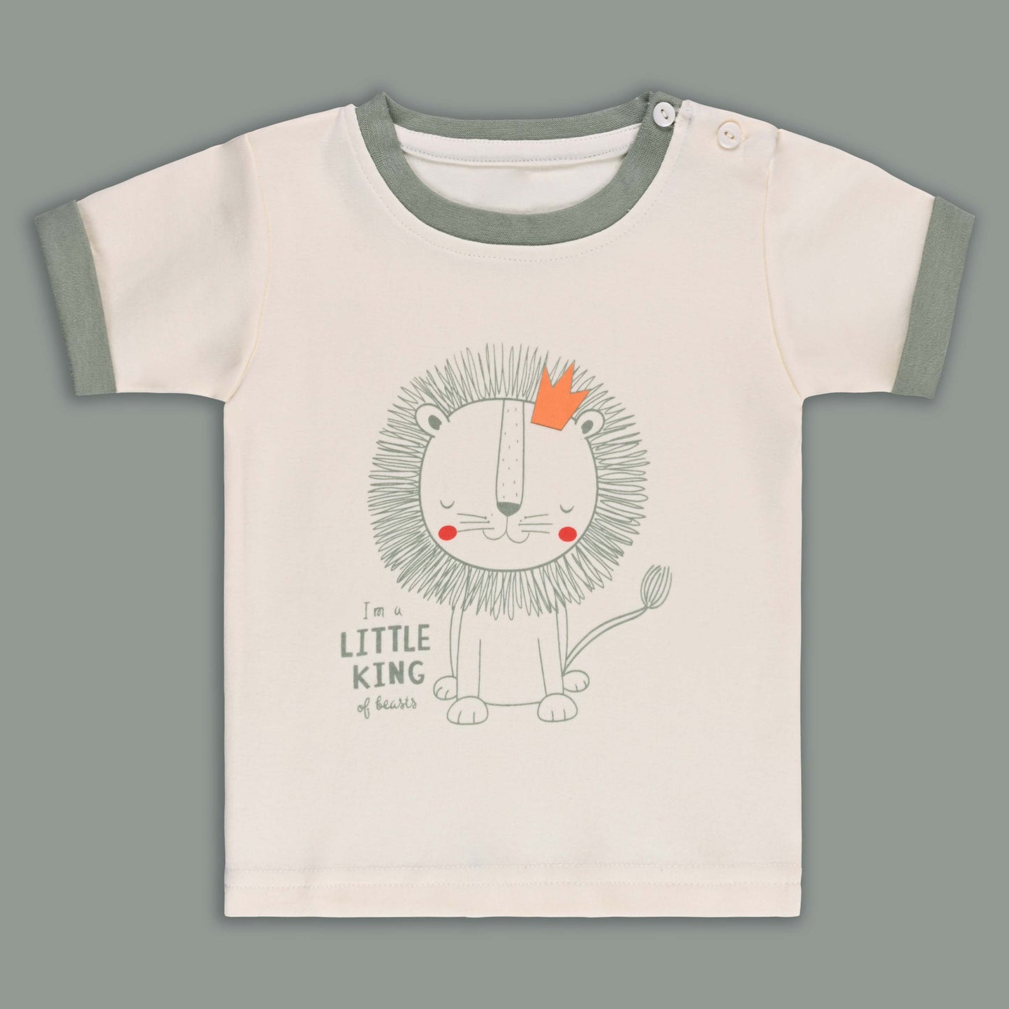 Boys Printed Cotton Tshirt and Shorts Set