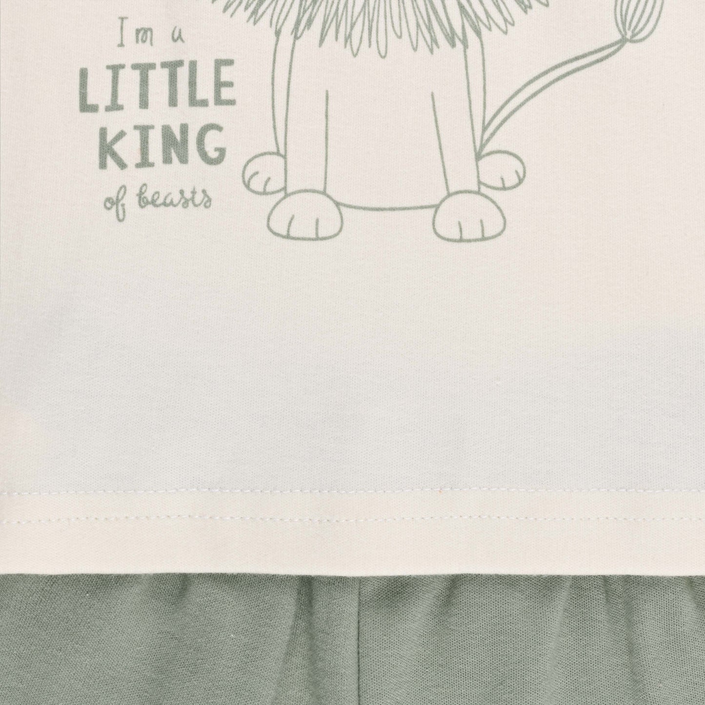 Boys Printed Cotton Tshirt and Shorts Set