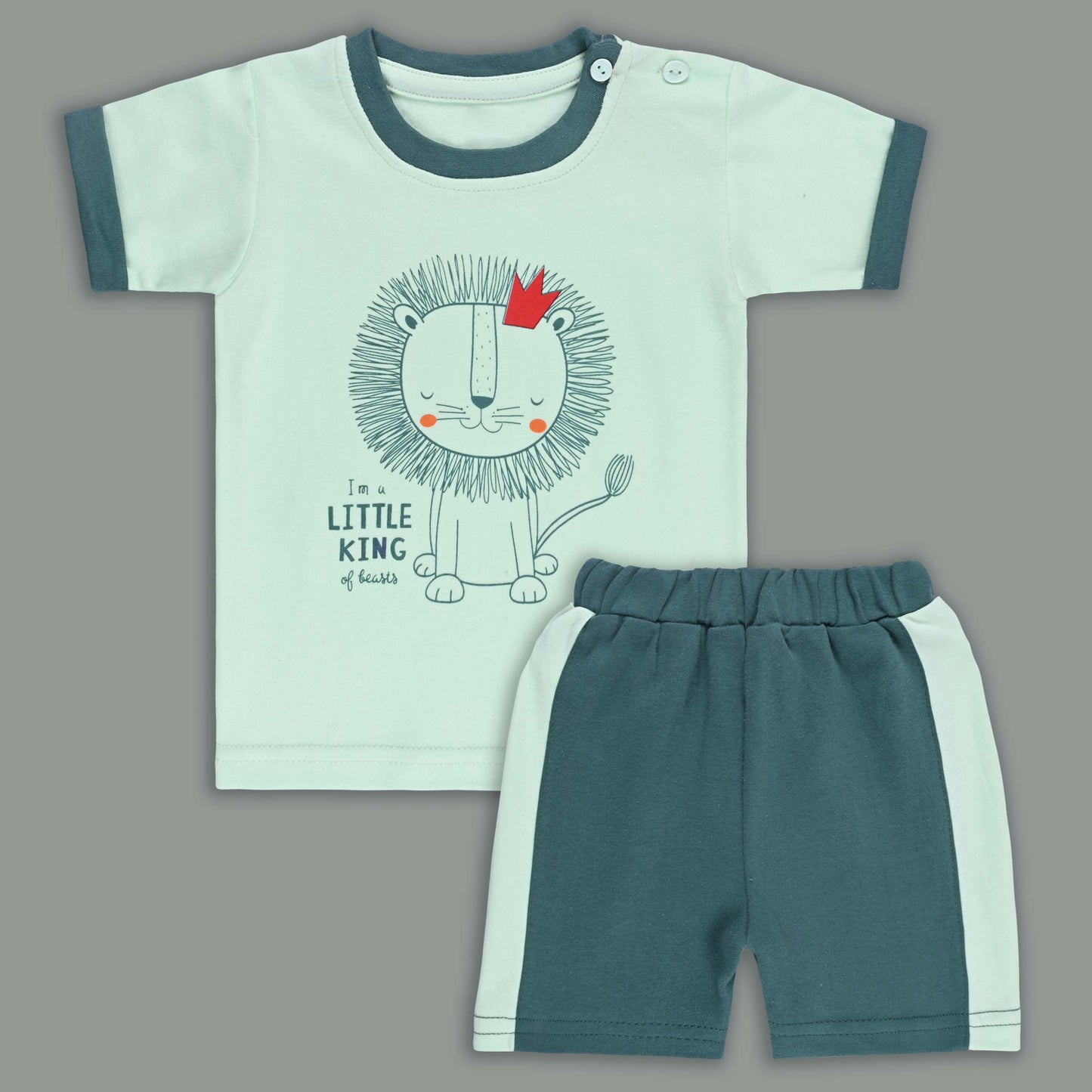 Boys Printed Cotton Tshirt and Shorts Set