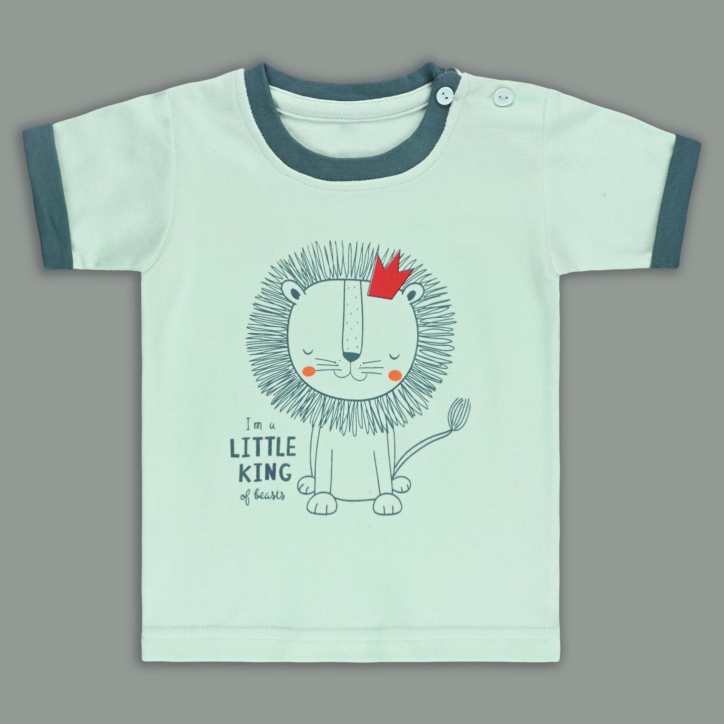 Boys Printed Cotton Tshirt and Shorts Set