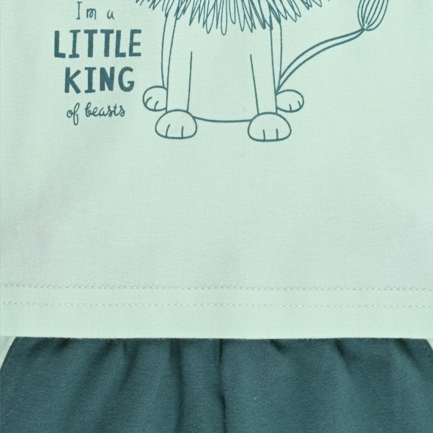 Boys Printed Cotton Tshirt and Shorts Set