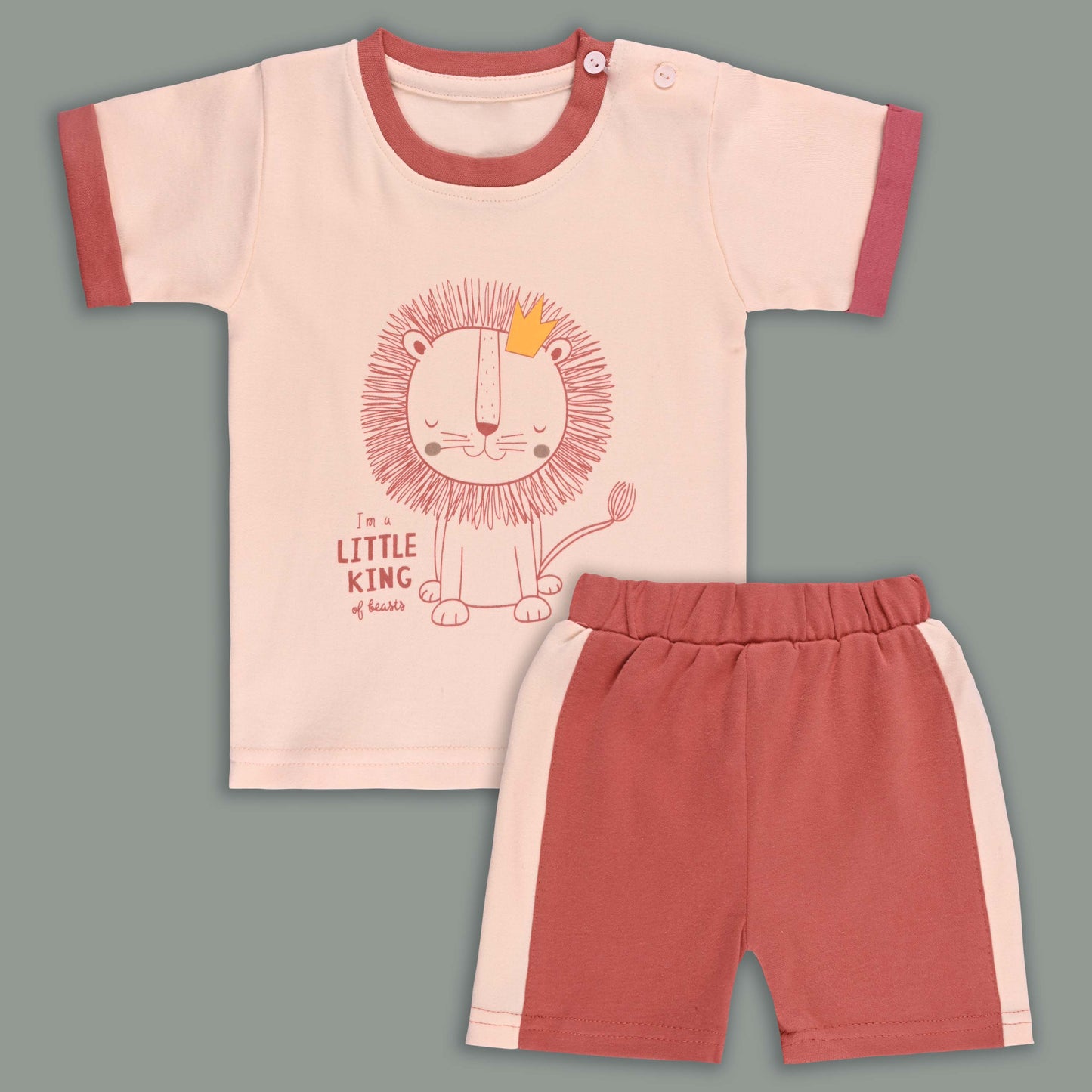 Boys Printed Cotton Tshirt and Shorts Set