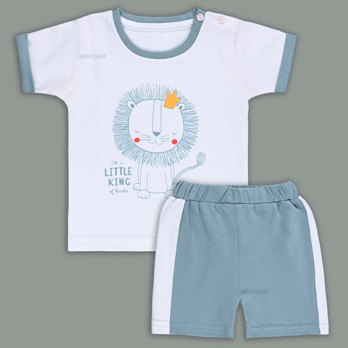 Boys Printed Cotton Tshirt and Shorts Set
