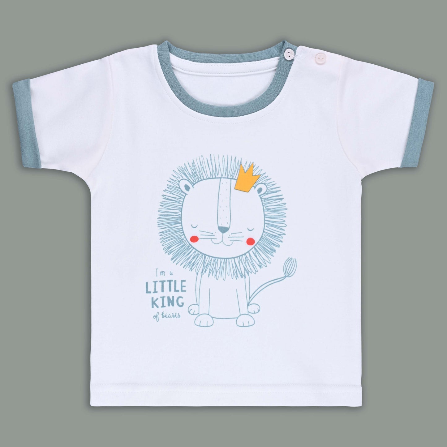 Boys Printed Cotton Tshirt and Shorts Set