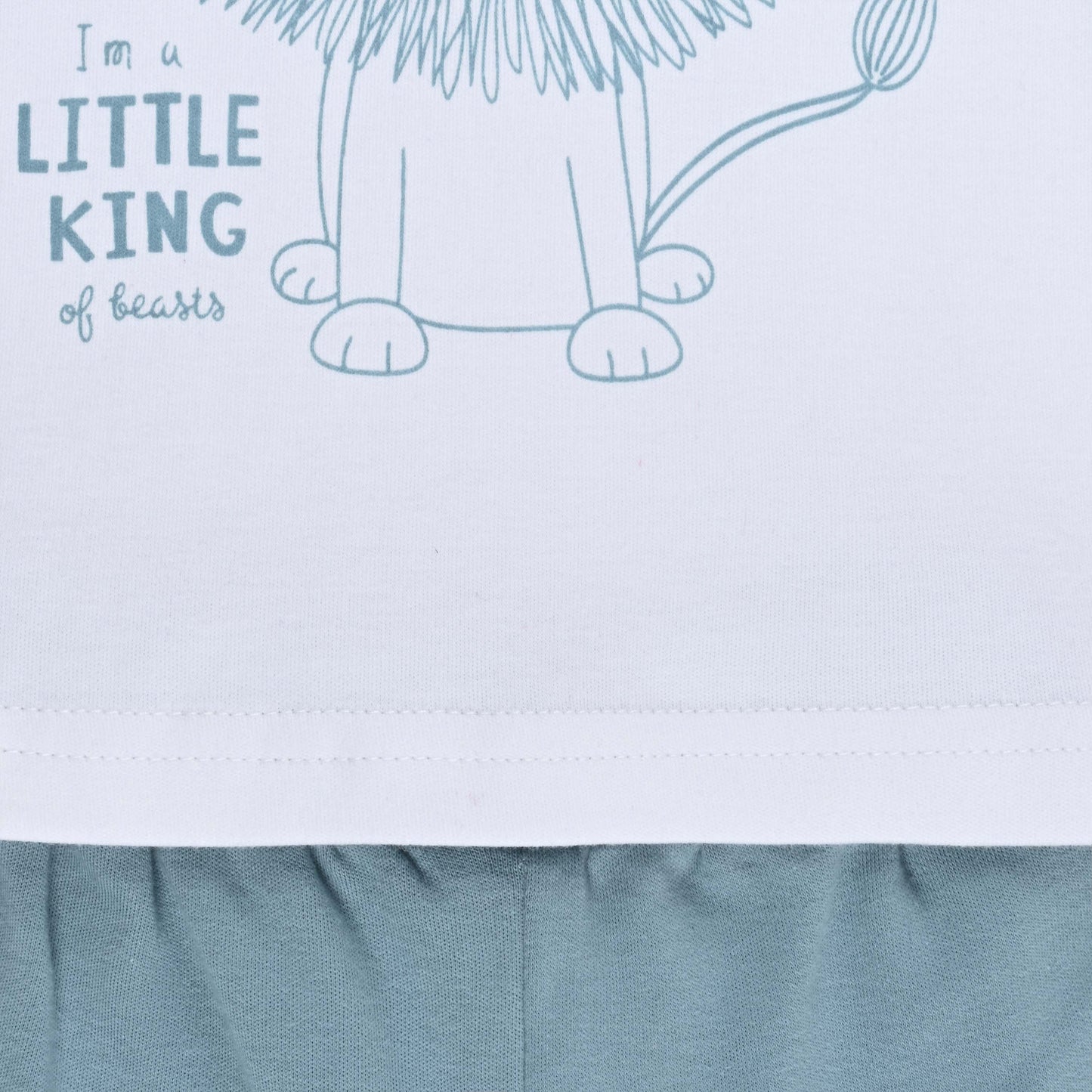 Boys Printed Cotton Tshirt and Shorts Set