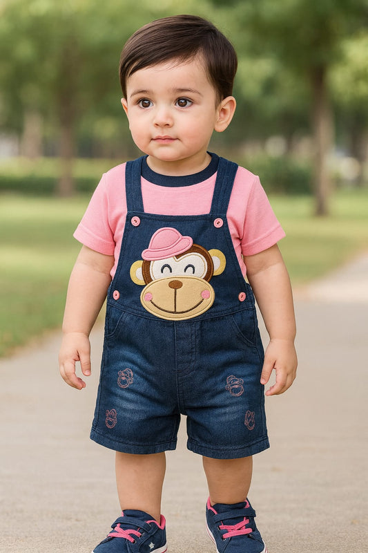 Baby Boys Applique T-Shirt and Shorts Dungaree Set