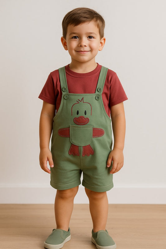 Baby Boys Applique T-Shirt and Shorts Dungaree Set
