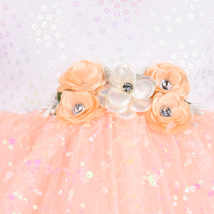 Girls Embellished A-Line Frock Dress