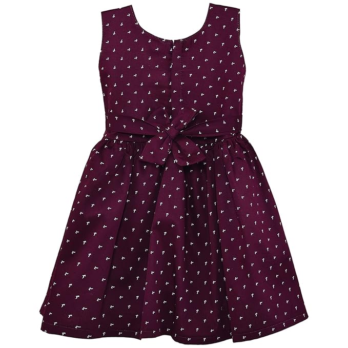 Girls Graphic Printed Fit and Flare Dress