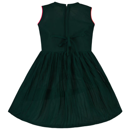 Girls Embroidered Fit and Flare Frock Dress