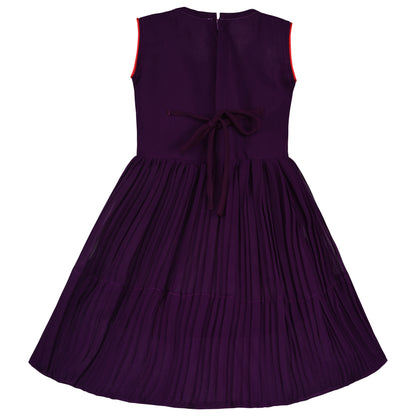 Girls Embroidered Fit and Flare Frock Dress
