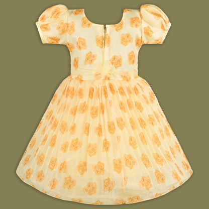Girls Floral Printed Mirror Embellished Ethnic Dress