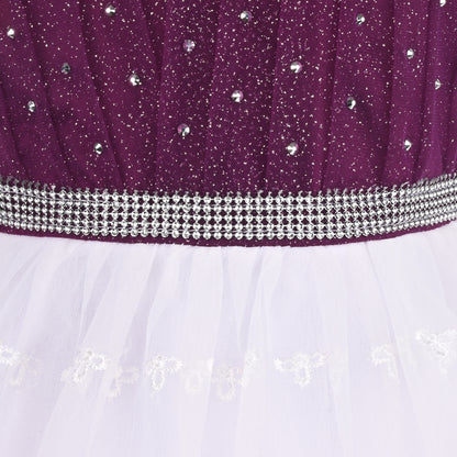 Stylish Net Party Dress for Girls – Sleeveless Design with Embellished Lace and Sparkle Details