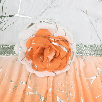 Baby Girls Chiffon Party Wear Dress | Ombre Floral Frock with Waist Flower & Stone Work | Birthday & Festive Outfit