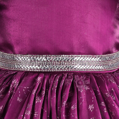 Buy Premium Baby Girls Party Wear Dress Online