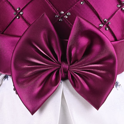 Buy Premium Baby Girls  Party Dress Online