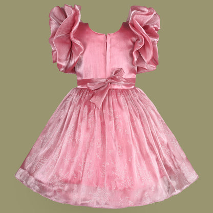 Girls Party Dress