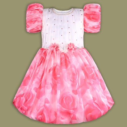 Buy Premium Baby Girls Party Birthday Wear Dress Online