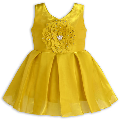 Girls Satin Party Dress with 3D Floral Appliqué