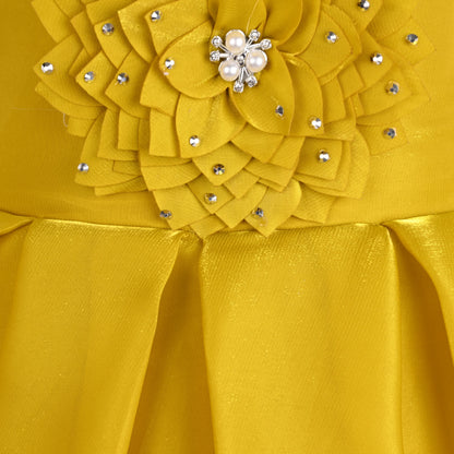 Girls Satin Party Dress with 3D Floral Appliqué